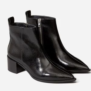 Everlane Tuscan Leather Pointed Boot